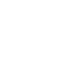 Lionel Bets 500x500_white